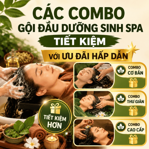 Các combo gội đầu dưỡng sinh spa tiết kiệm với ưu đãi hấp dẫn