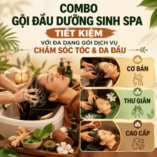 Tin tức 1